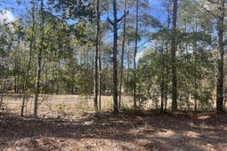 2009 Beach Road photo 4