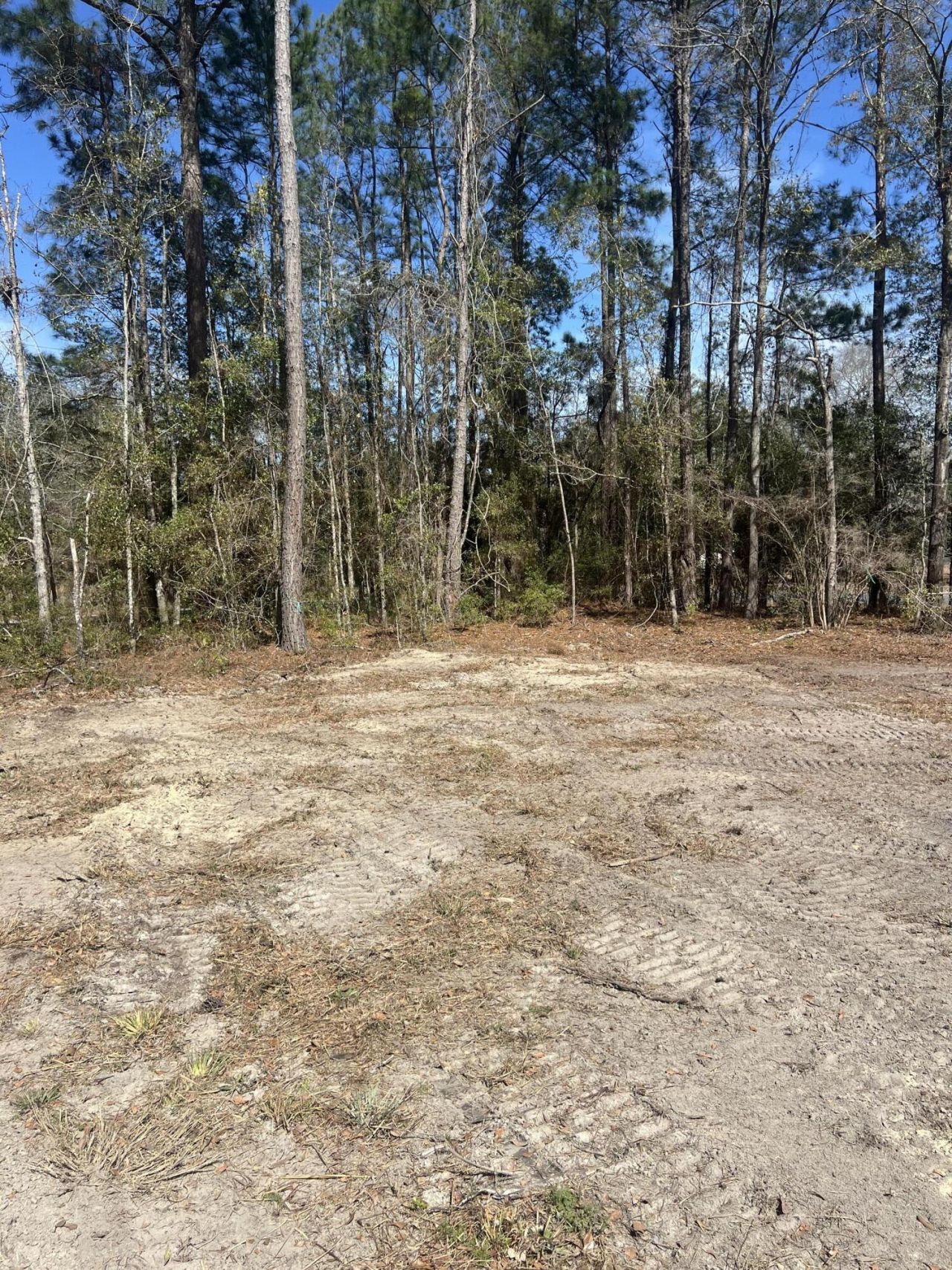 2009 Beach Road Photo 4