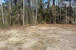 2009 Beach Road photo 4