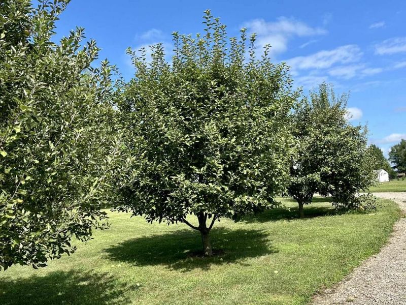 23180 State Route 31, Marysville, OH 43040 Photo 49