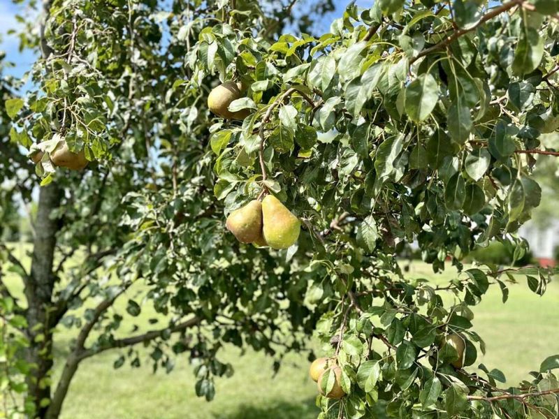 23180 State Route 31, Marysville, OH 43040 Photo 50