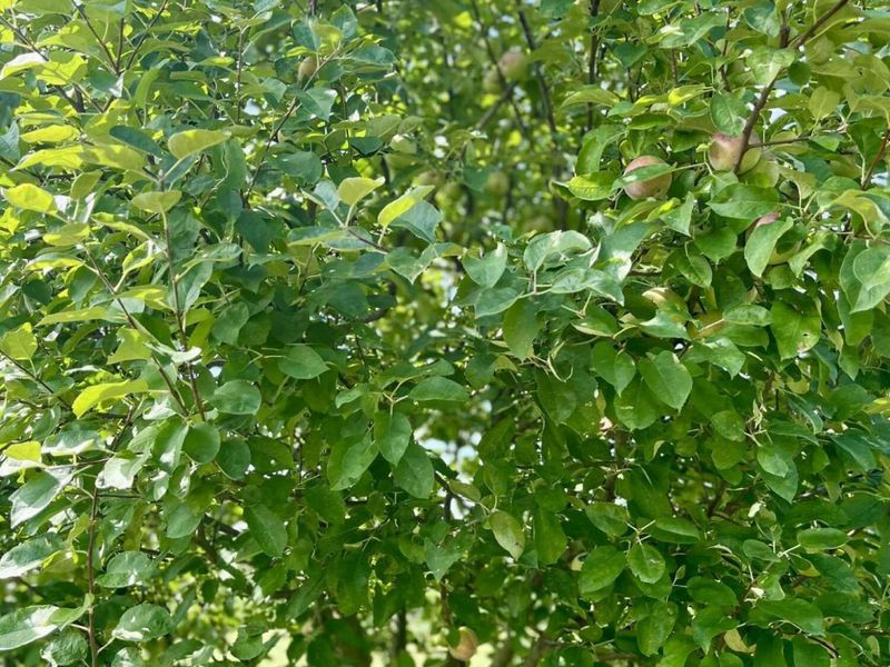 23180 State Route 31, Marysville, OH 43040 Photo 51