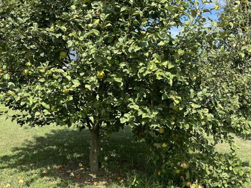 23180 State Route 31, Marysville, OH 43040 Photo 59