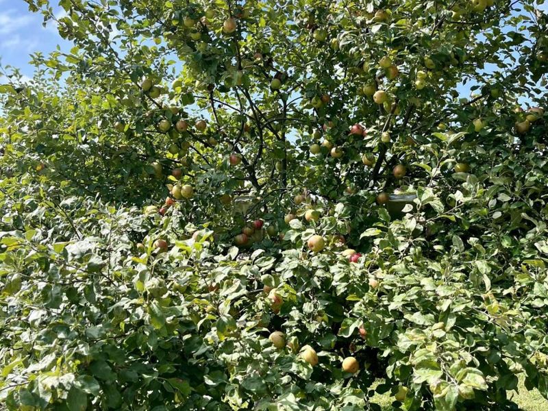 23180 State Route 31, Marysville, OH 43040 Photo 60