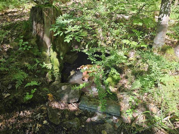 Lot 3.2 Off Parker Road, Lisbon, NH 03585