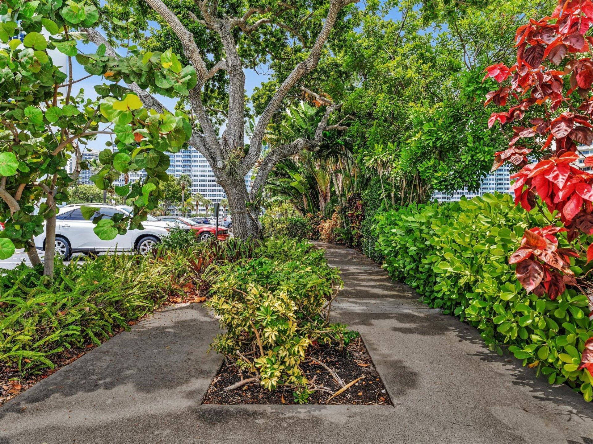 3300 NE 36th Street, Unit 308, Fort Lauderdale, FL 33308 Photo