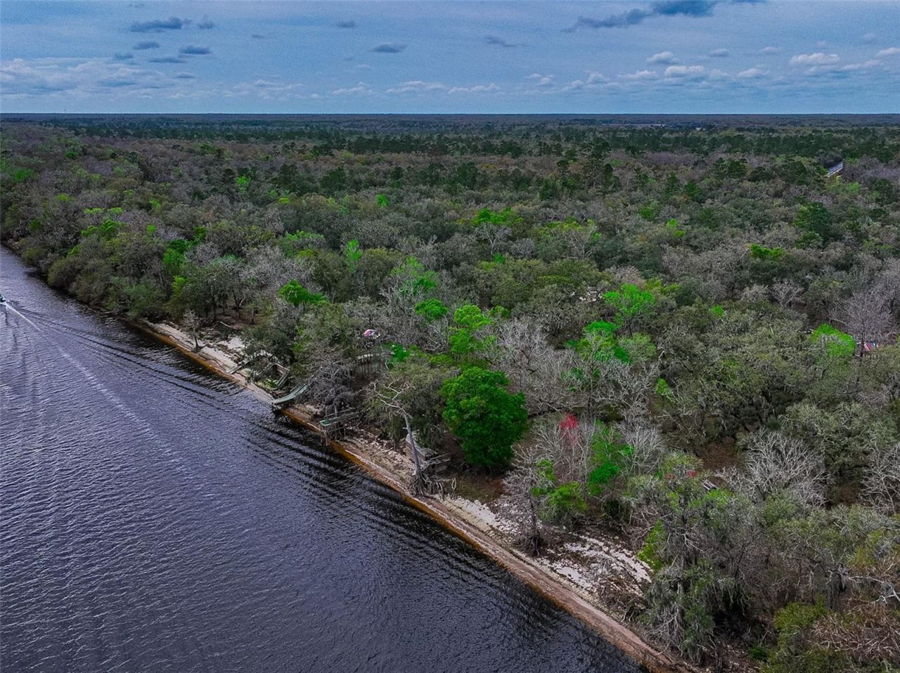 2878 NE 340 Highway, Branford, FL 32008 Photo