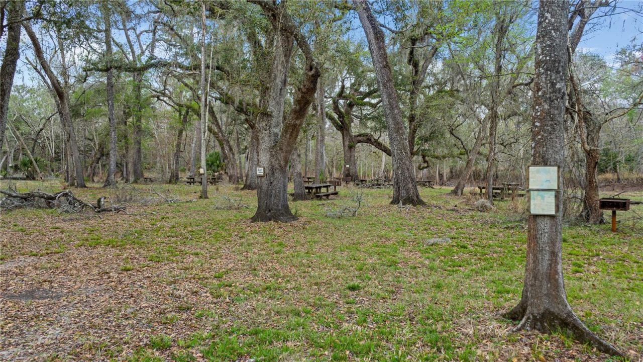 2878 NE 340 Highway, Branford, FL 32008 Photo