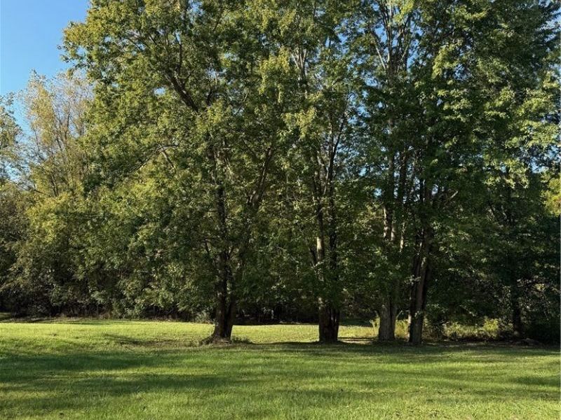 1061 Jonathan Avenue, Akron, OH 44333 Photo 19