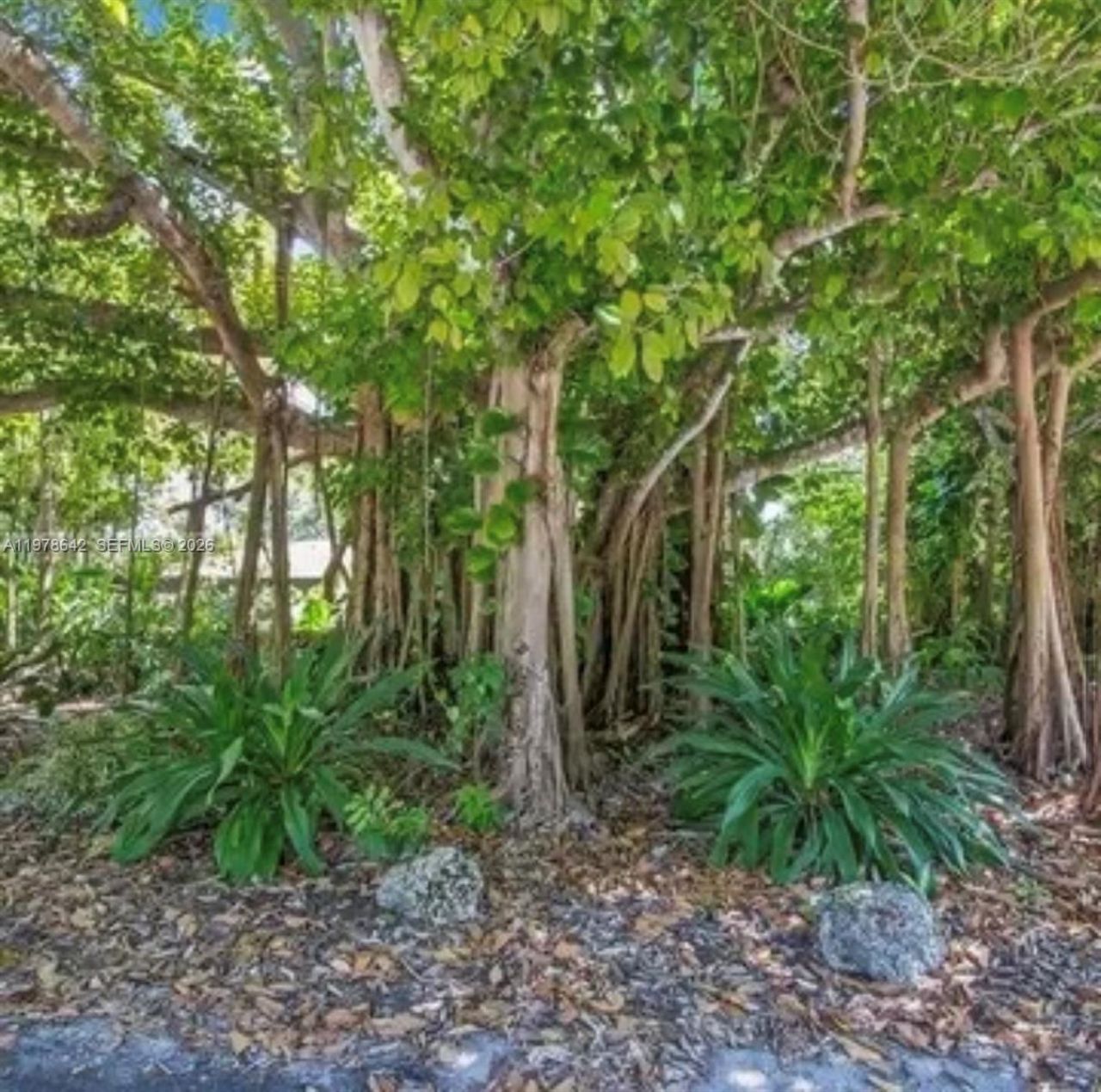 4895 SW 88th St, Unit 00, Miami, FL 33156 Photo