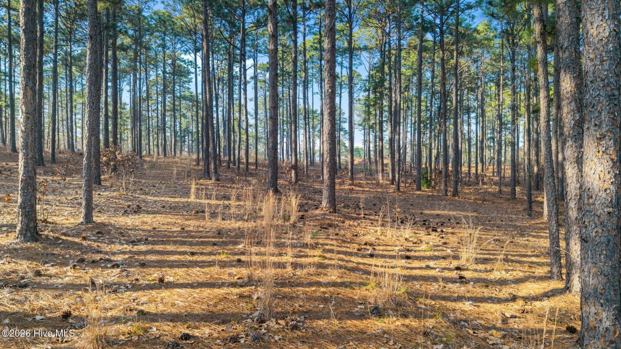 434 N Fort Bragg Road, Southern Pines, NC 28387 Main Photo