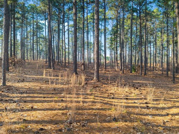 434 N Fort Bragg Road, Southern Pines, NC 28387