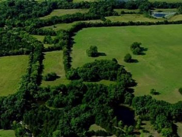 2403 County Road 3210 , Dodd City, TX 75438