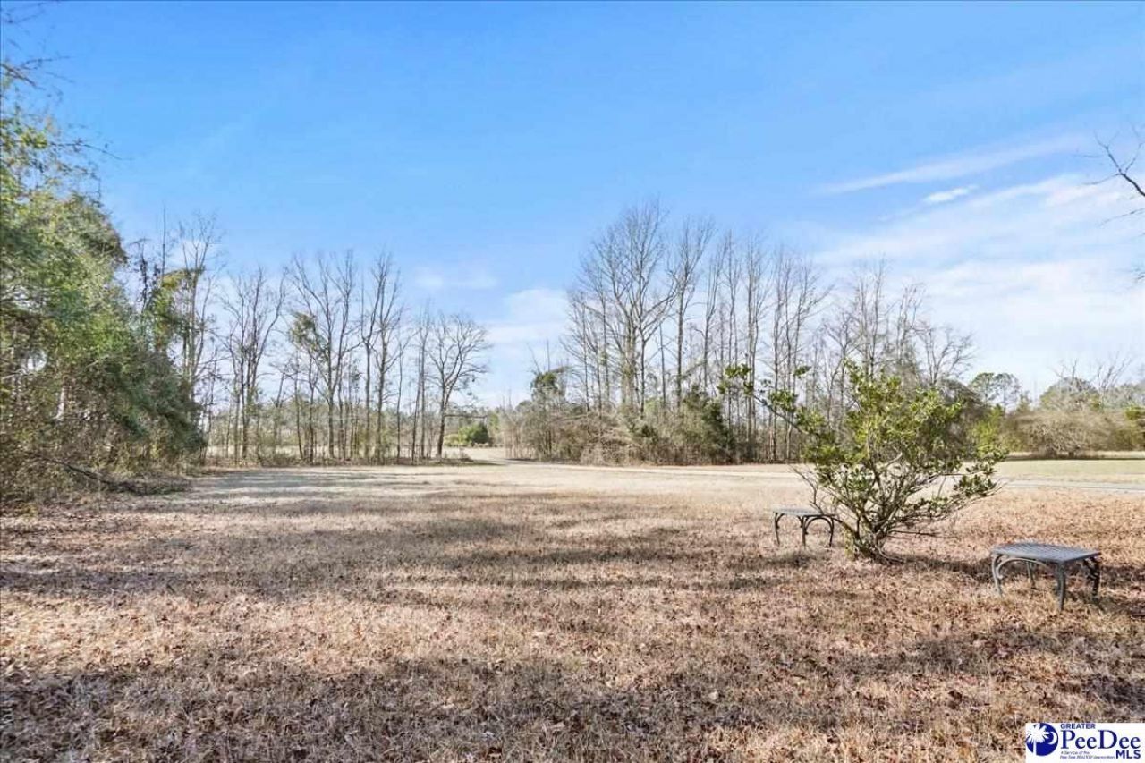 3981 Oates Hwy Photo 47