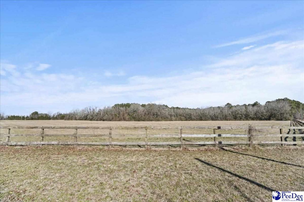 3981 Oates Hwy Photo 48