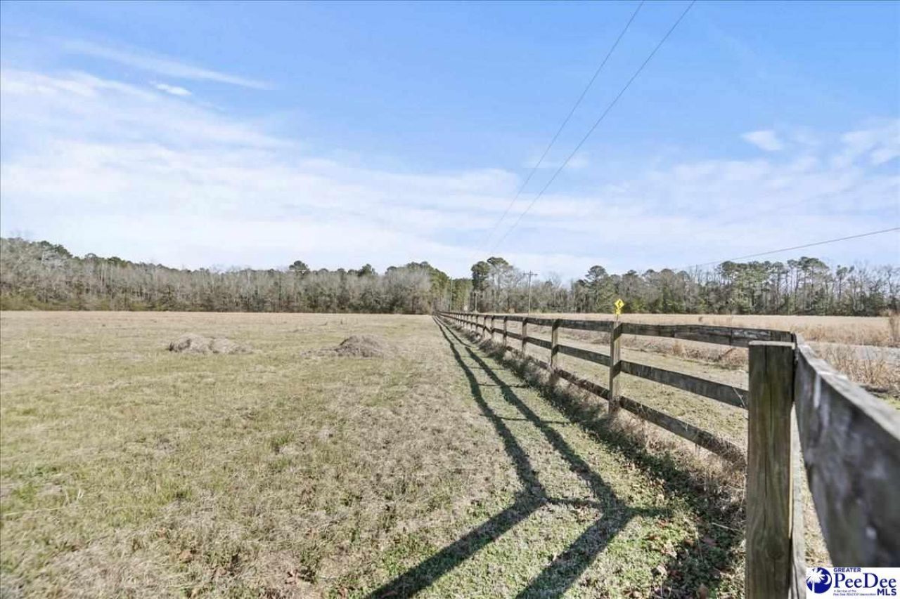 3981 Oates Hwy Photo 49