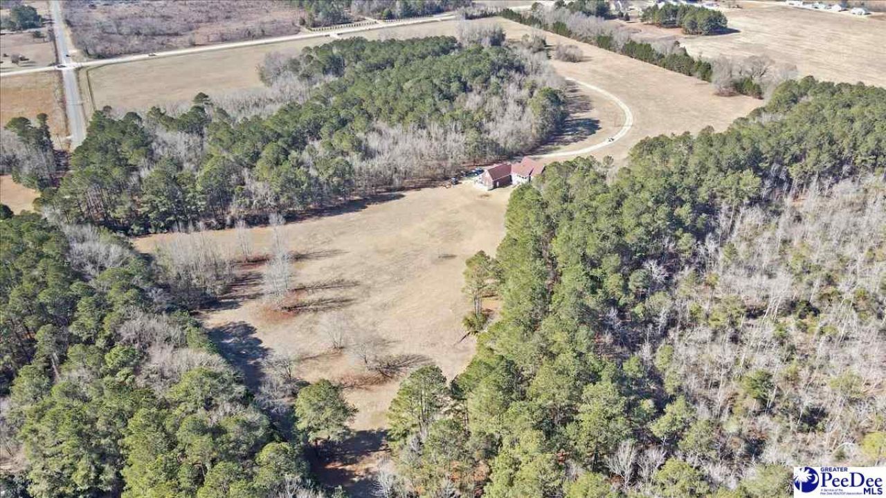 3981 Oates Hwy Photo 50