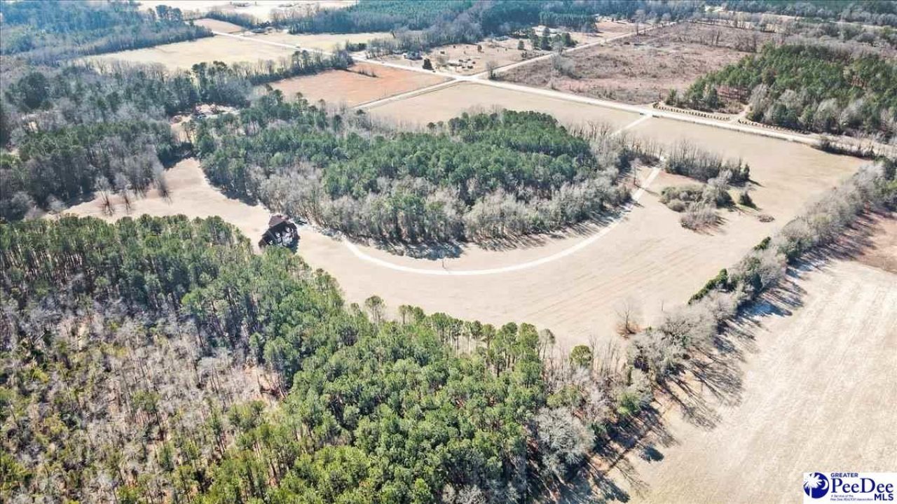 3981 Oates Hwy Photo 51