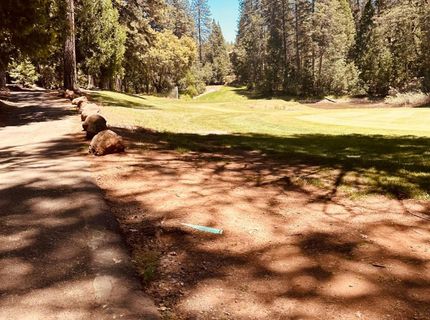 633 Forest Meadows Drive, Murphys, CA 95247 Photo