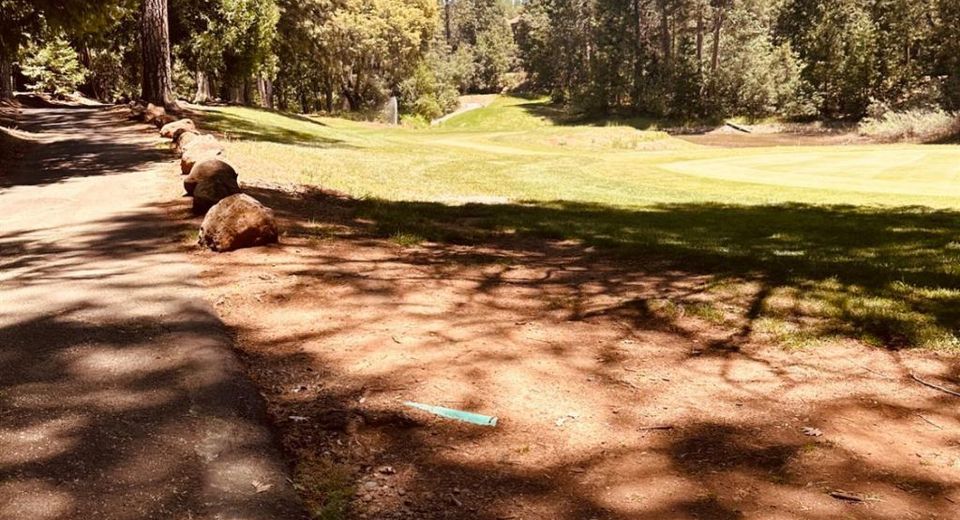 633 Forest Meadows Drive, Murphys, CA 95247 Photo