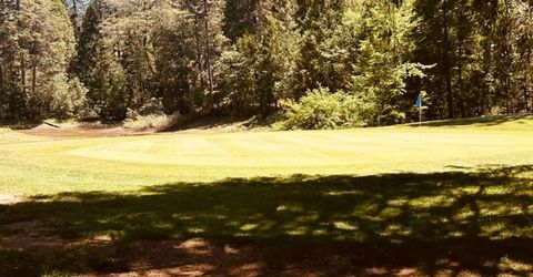 633 Forest Meadows Drive, Murphys, CA 95247 Photo