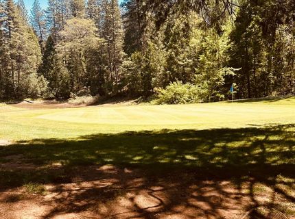 633 Forest Meadows Drive, Murphys, CA 95247 Photo