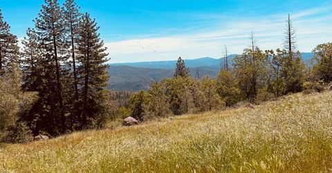 633 Forest Meadows Drive, Murphys, CA 95247 Photo