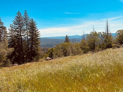 633 Forest Meadows Drive, Murphys, CA 95247 Photo