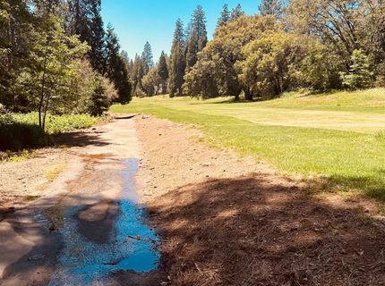 633 Forest Meadows Drive, Murphys, CA 95247 Photo
