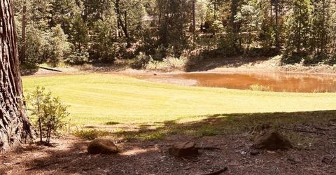 633 Forest Meadows Drive, Murphys, CA 95247 Photo
