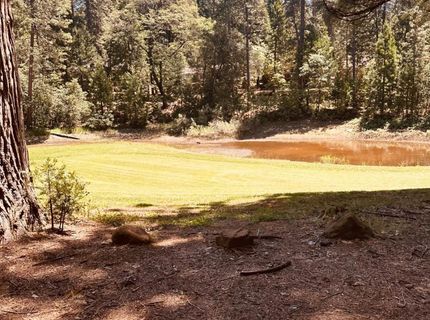 633 Forest Meadows Drive, Murphys, CA 95247 Photo
