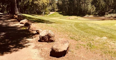 633 Forest Meadows Drive, Murphys, CA 95247 Photo