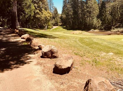 633 Forest Meadows Drive, Murphys, CA 95247 Photo