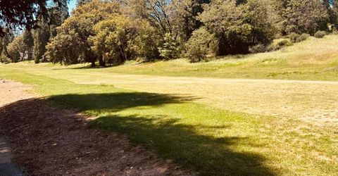 633 Forest Meadows Drive, Murphys, CA 95247 Photo