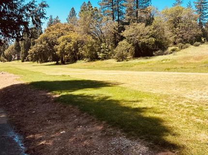 633 Forest Meadows Drive, Murphys, CA 95247 Photo