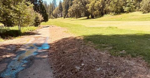 633 Forest Meadows Drive, Murphys, CA 95247 Photo