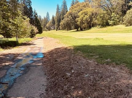 633 Forest Meadows Drive, Murphys, CA 95247 Photo