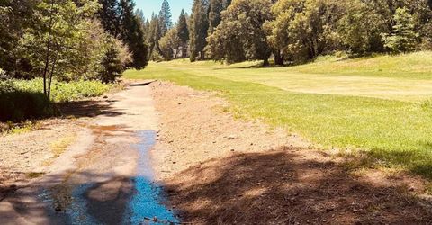 633 Forest Meadows Drive, Murphys, CA 95247 Photo