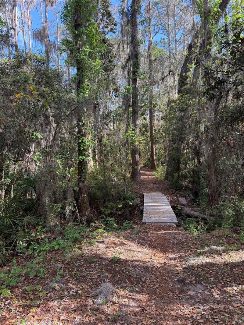 14535 Caplock Drive, Orlando, FL 32837 Photo