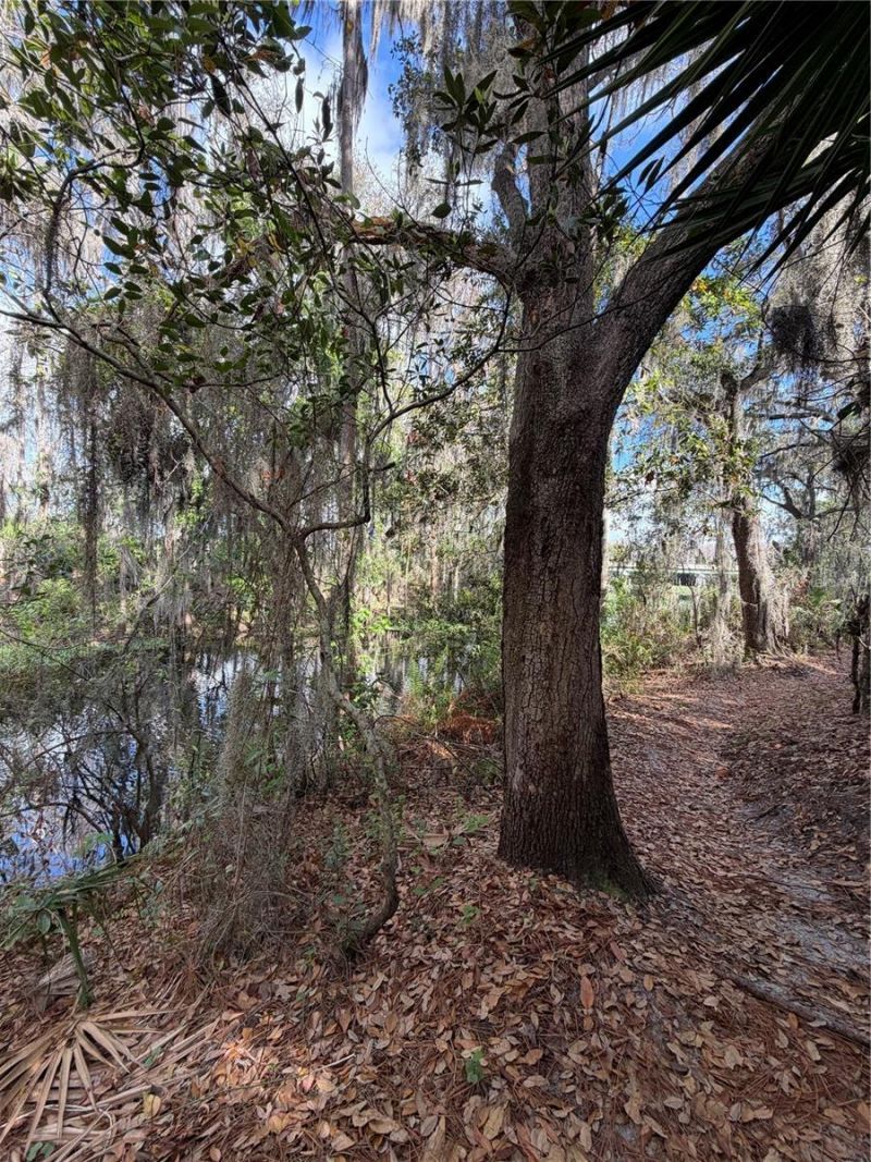 14535 Caplock Drive, Orlando, FL 32837 Photo