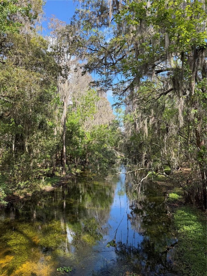 14535 Caplock Drive, Orlando, FL 32837 Photo