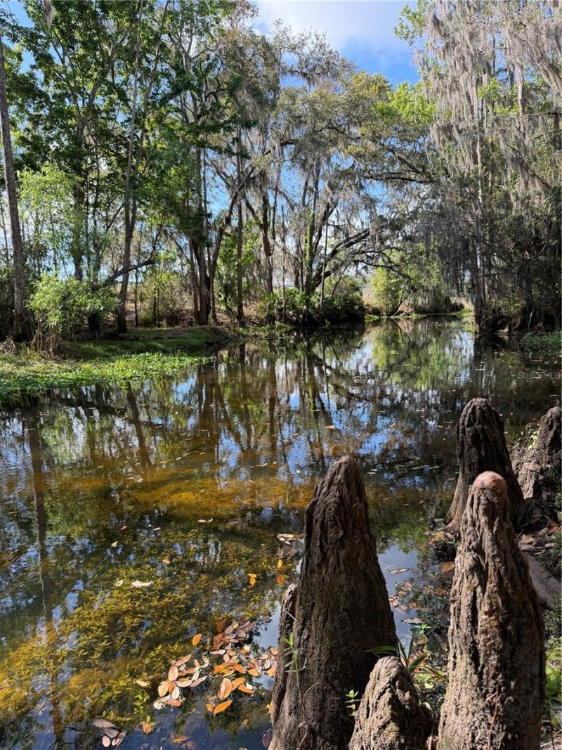 14535 Caplock Drive, Orlando, FL 32837 Photo