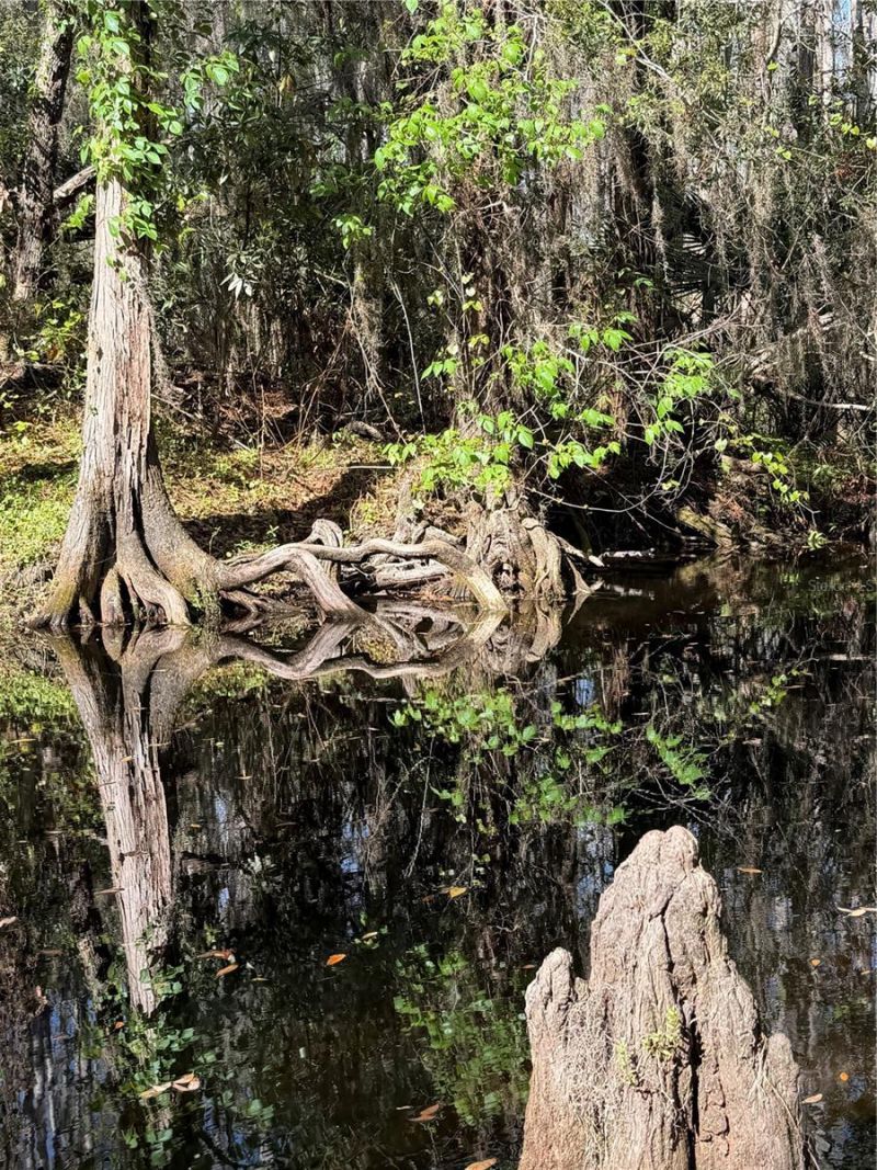 14535 Caplock Drive, Orlando, FL 32837 Photo