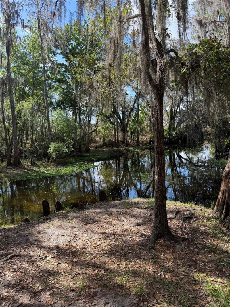 14535 Caplock Drive, Orlando, FL 32837 Photo