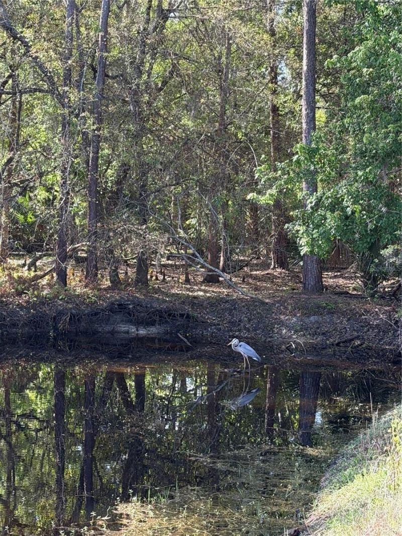 14535 Caplock Drive, Orlando, FL 32837 Photo