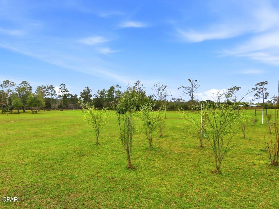 Property Image 60