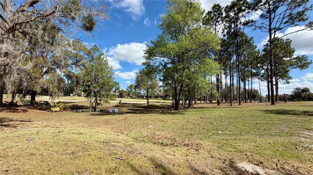 6717 SW 179th Avenue Road, Dunnellon, FL 34432 Photo