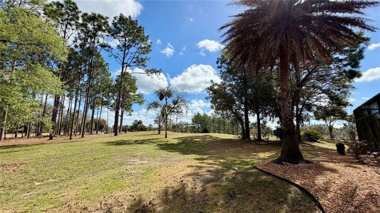 6717 SW 179th Avenue Road, Dunnellon, FL 34432 Photo