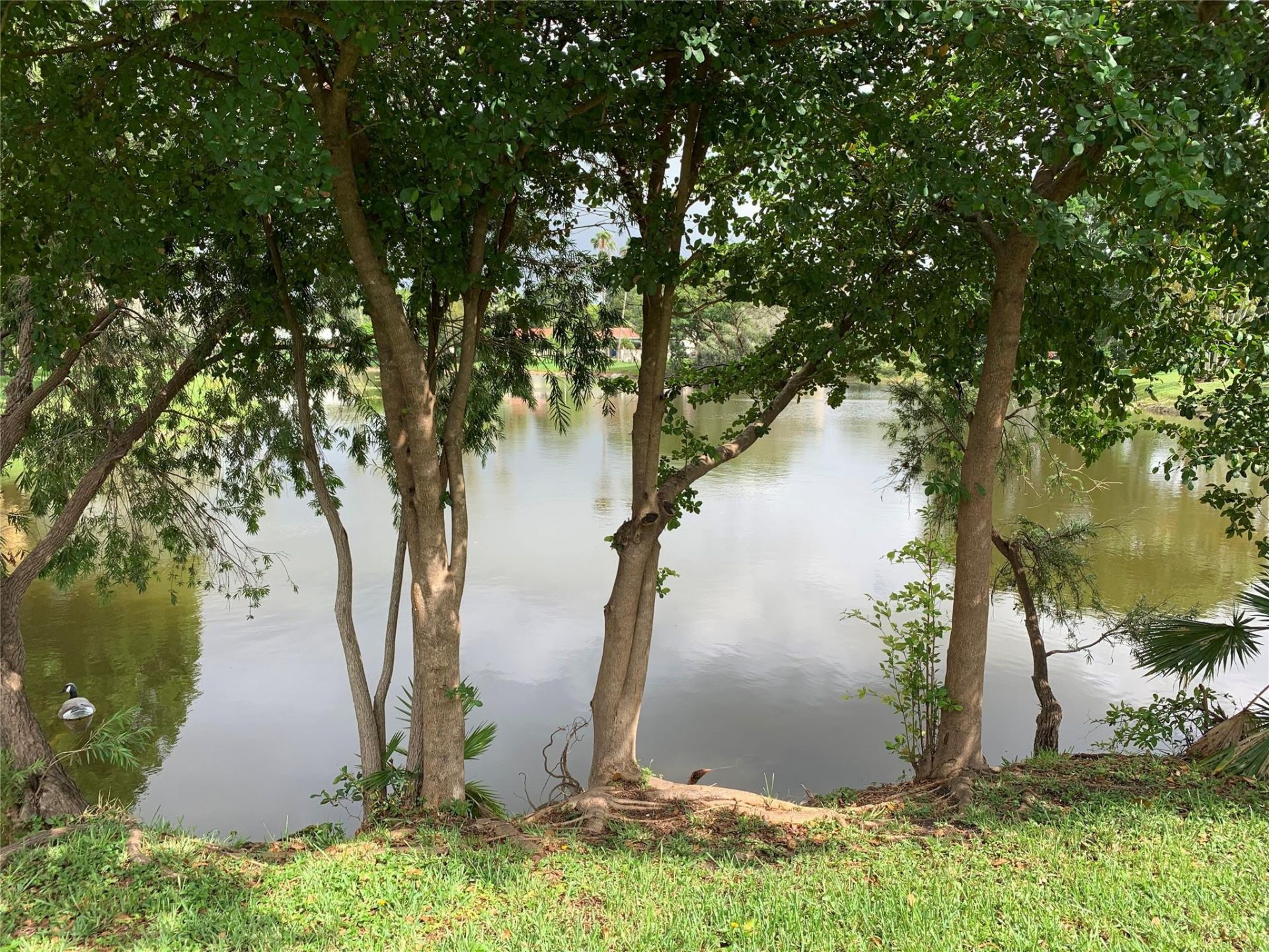 3980 NW 114th Avenue, Coral Springs, FL 33065 Photo