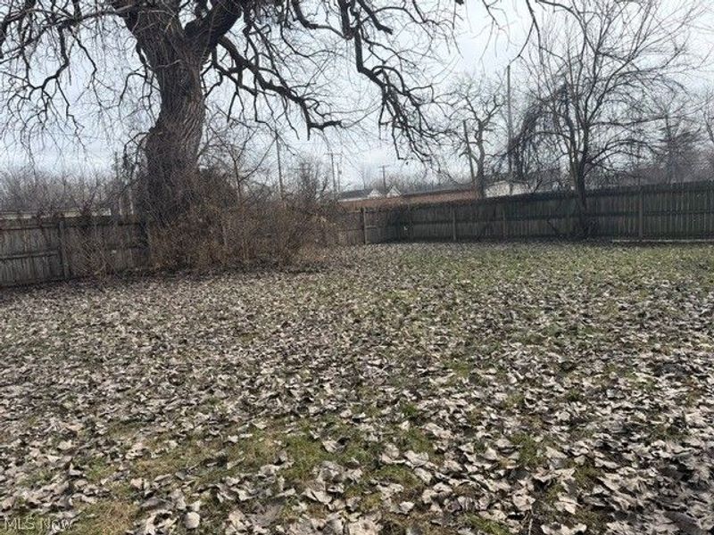 3271 E 48th Street, Cleveland, OH 44127 Photo 7